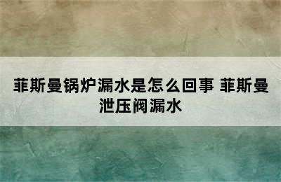 菲斯曼锅炉漏水是怎么回事 菲斯曼泄压阀漏水